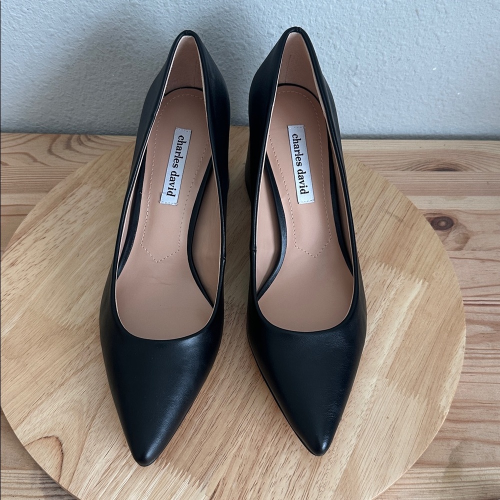 Charles David Ayra Womens Pointed Closed Toe Block Heel Pumps new 10M